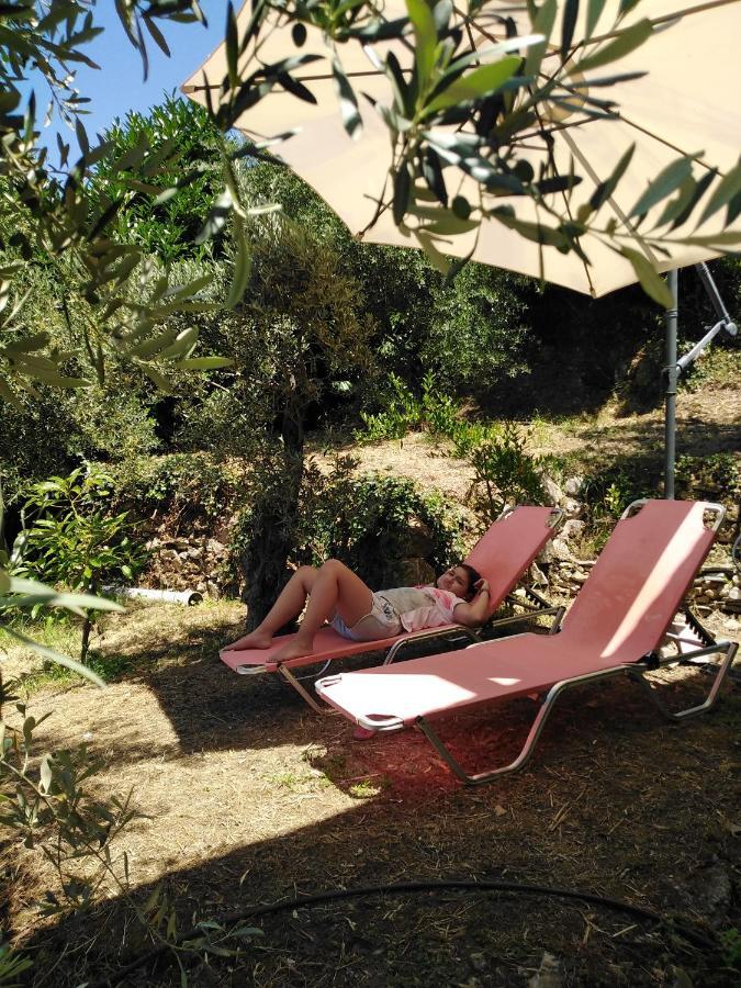 ホレフト Ελαιώνας - Solar Energy Houseヴィラ エクステリア 写真
